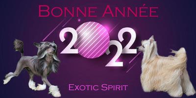 Exotic Spirit - Bonne Année 2022 !!!