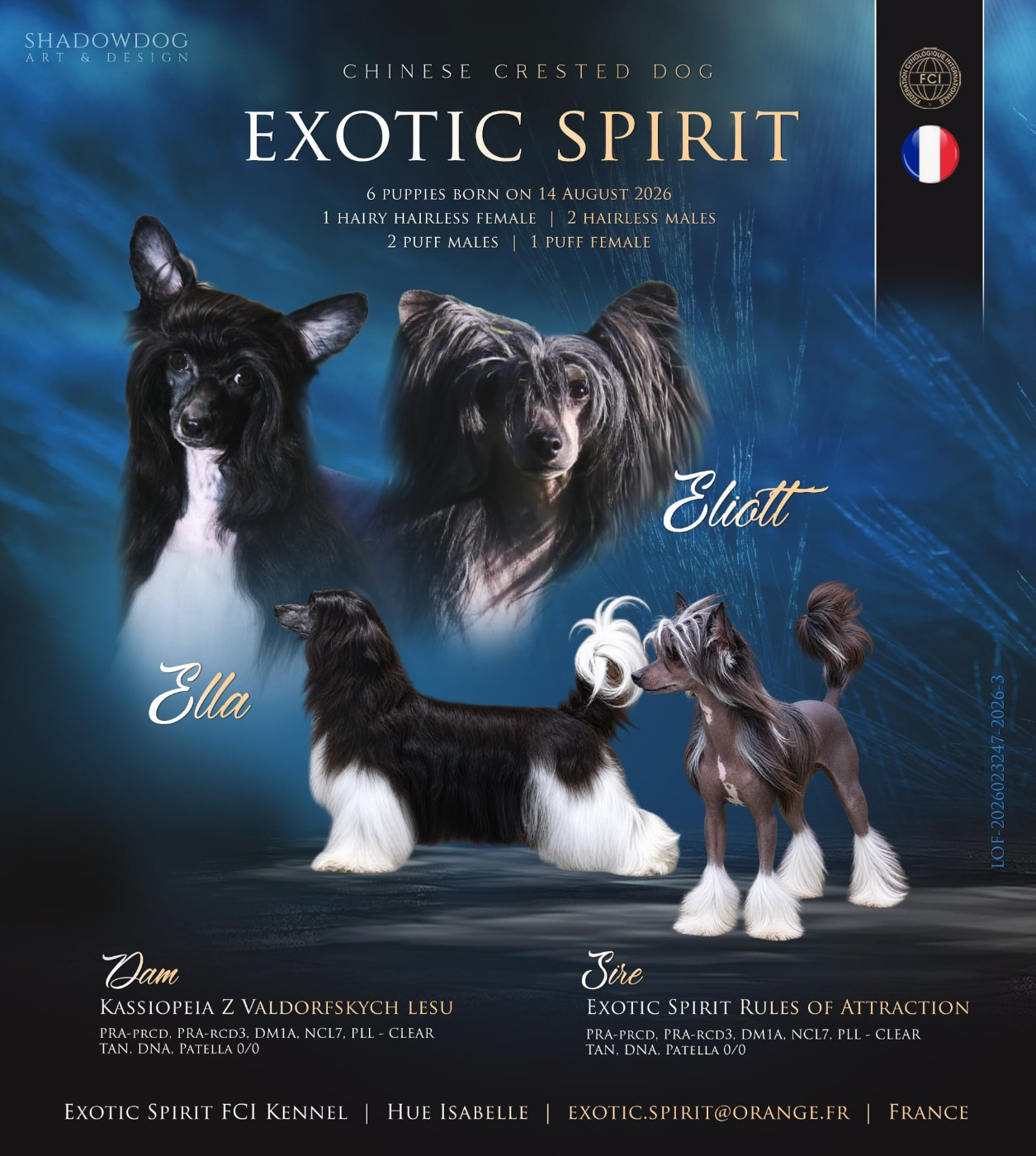Les bébés de Ella sont là....