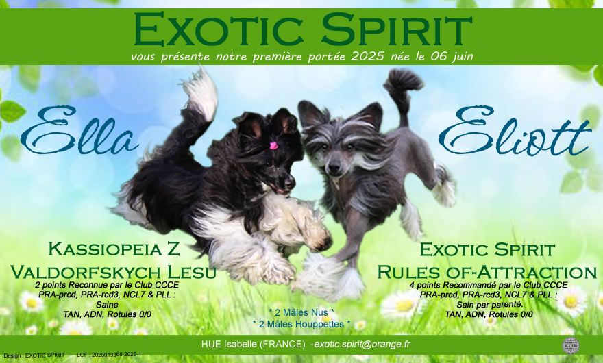 Exotic Spirit - Les bébés sont arrivés